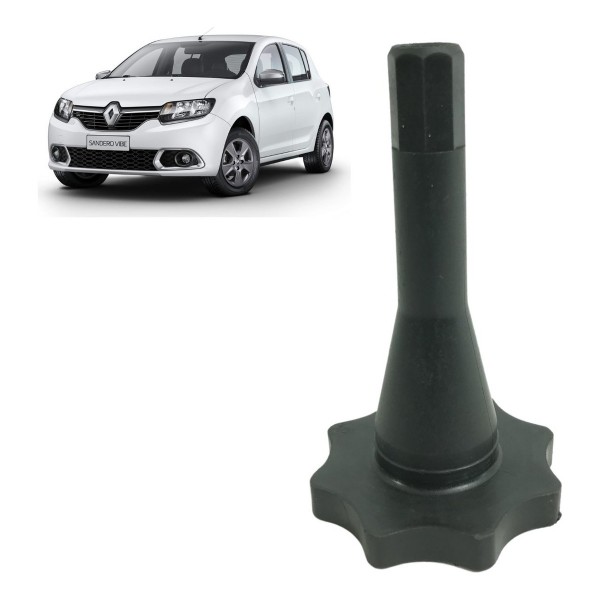 Parafuso Fixação Estepe Renault Sandero 2015 À 2018