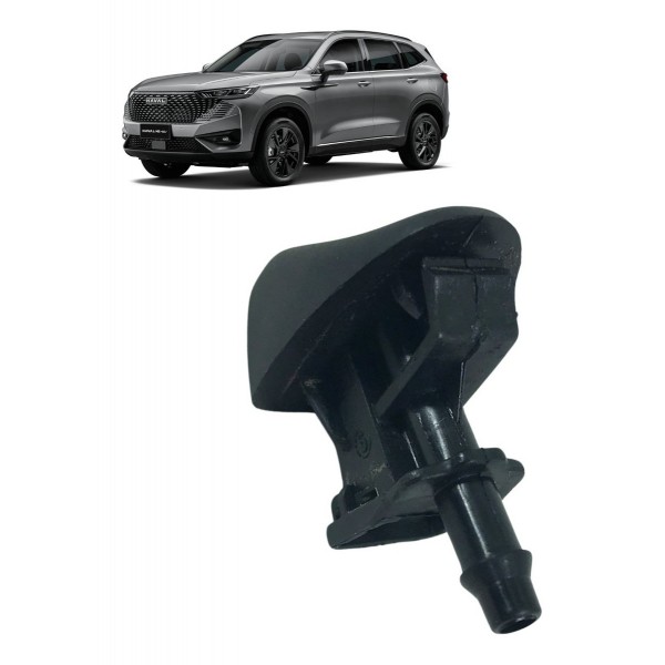 Brucutu Esguicho Gwm Haval H6 Premium 1.5 16v 2023 2024