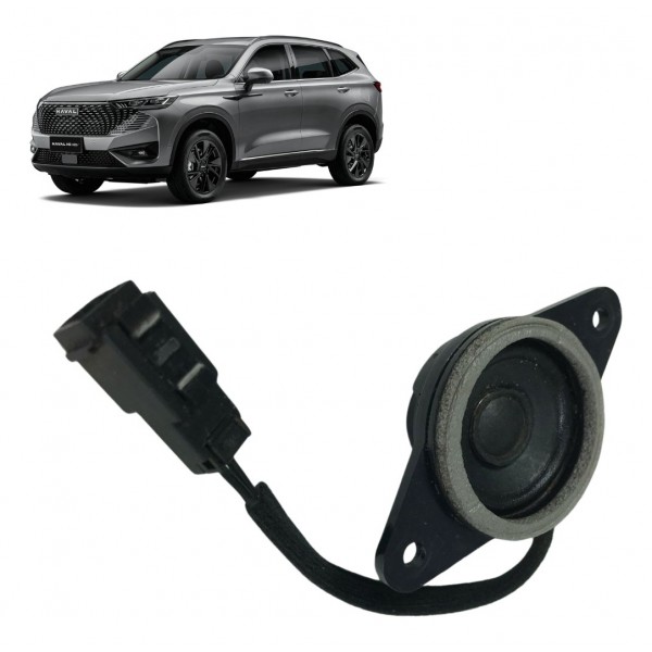 Tweeter Painel Gwm Haval H6 Premium 1.5 16v Turbo 2023 2024