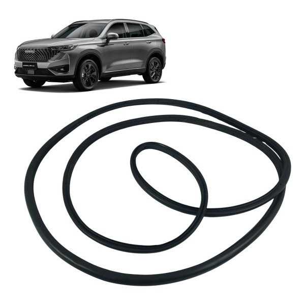 Borracha Anti Pó Porta Dianteira Direita Gwm Haval H6 2024